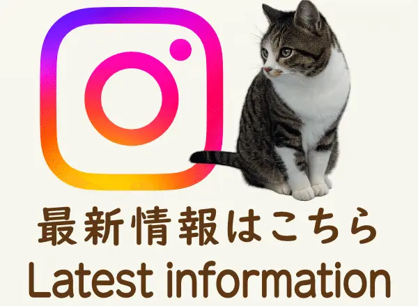 インスタグラムへのリンク